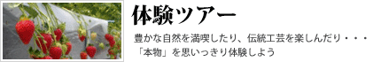 体験ツアー
